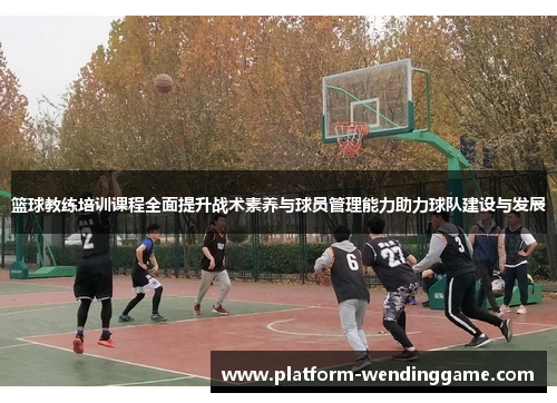 篮球教练培训课程全面提升战术素养与球员管理能力助力球队建设与发展