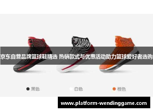 京东自营品牌篮球鞋精选 热销款式与优惠活动助力篮球爱好者选购 京东自营品牌篮球鞋精选 热销款式与优惠活动助力篮球爱好者选购