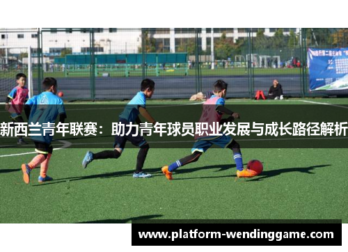 新西兰青年联赛:助力青年球员职业发展与成长路径解析 新西兰青年联赛:助力青年球员职业发展与成长路径解析