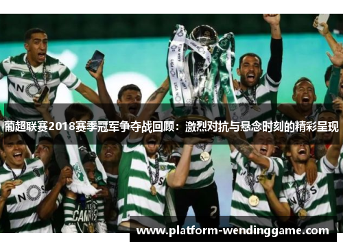葡超联赛2018赛季冠军争夺战回顾:激烈对抗与悬念时刻的精彩呈现 葡超联赛2018赛季冠军争夺战回顾:激烈对抗与悬念时刻的精彩呈现
