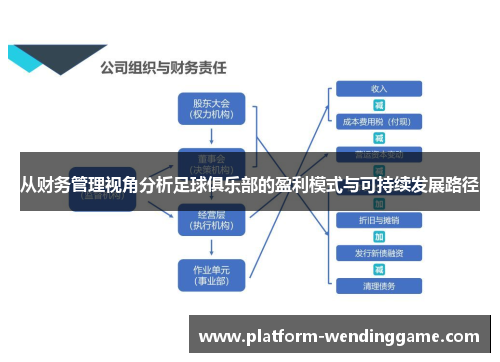 从财务管理视角分析足球俱乐部的盈利模式与可持续发展路径 从财务管理视角分析足球俱乐部的盈利模式与可持续发展路径