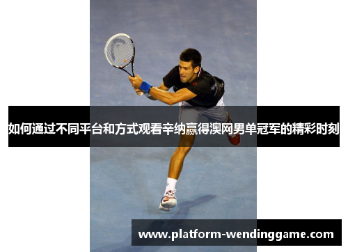 如何通过不同平台和方式观看辛纳赢得澳网男单冠军的精彩时刻 如何通过不同平台和方式观看辛纳赢得澳网男单冠军的精彩时刻
