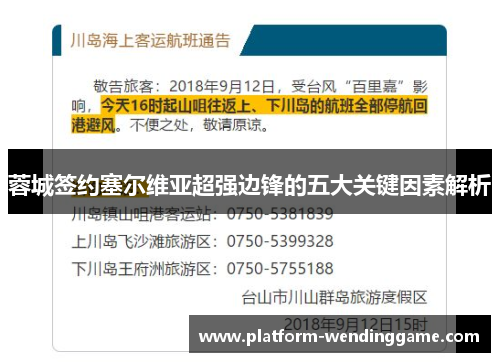 蓉城签约塞尔维亚超强边锋的五大关键因素解析 蓉城签约塞尔维亚超强边锋的五大关键因素解析