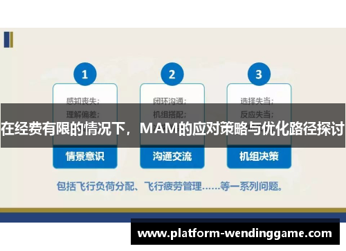 在经费有限的情况下,MAM的应对策略与优化路径探讨 在经费有限的情况下,MAM的应对策略与优化路径探讨