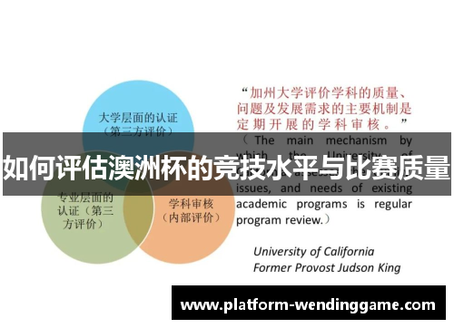如何评估澳洲杯的竞技水平与比赛质量