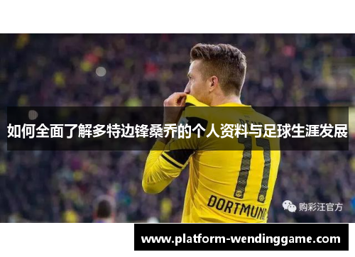 如何全面了解多特边锋桑乔的个人资料与足球生涯发展 如何全面了解多特边锋桑乔的个人资料与足球生涯发展