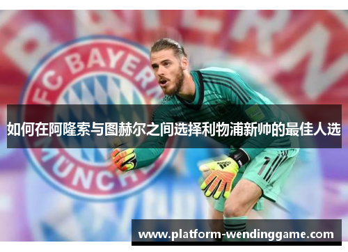 如何在阿隆索与图赫尔之间选择利物浦新帅的最佳人选