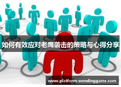 如何有效应对老鹰袭击的策略与心得分享