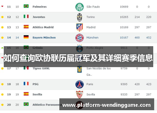 如何查询欧协联历届冠军及其详细赛季信息