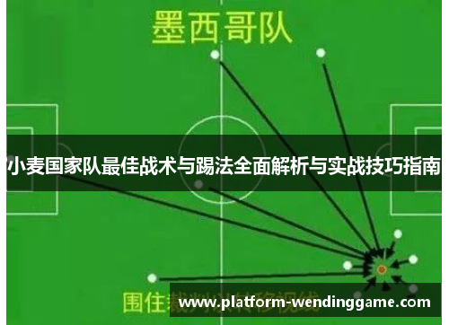 小麦国家队最佳战术与踢法全面解析与实战技巧指南 小麦国家队最佳战术与踢法全面解析与实战技巧指南