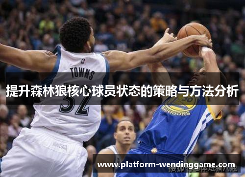 提升森林狼核心球员状态的策略与方法分析